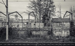DSC04236-1800-3.jpg