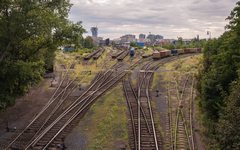 DSC07555-1800.jpg