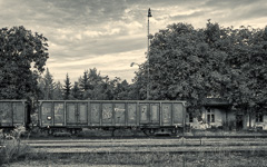 DSC10076-Edit-1800.jpg