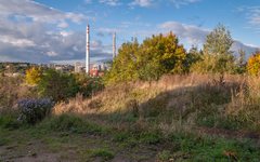 DSC11655-1800.jpg