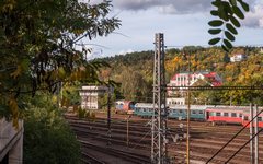 DSC11819-1800.jpg