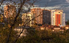 DSC12071-1800.jpg