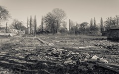 DSC12691-1800-2.jpg