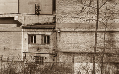 DSC13528-1800-3.jpg