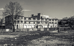 DSC13536-1800-4.jpg