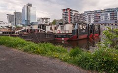 DSC13796-1800.jpg