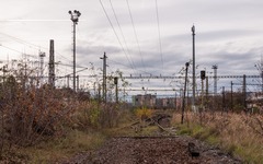 DSC18568-1800.jpg