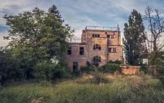 DSC22121-1800-5.jpg