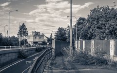 DSC23035-1800-2.jpg