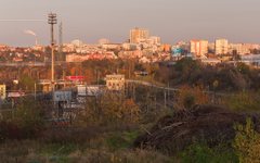 DSC24914-1800.jpg