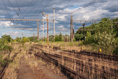 DSC31350-1800.jpg