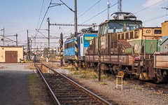 DSC33088-1800.jpg