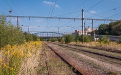 DSC33121-1800.jpg