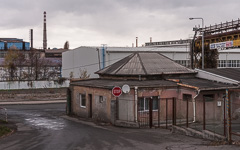 DSC35503-1800.jpg