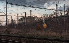 DSC37590-1800.jpg