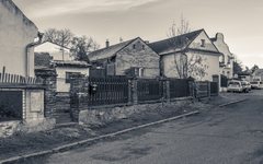 DSC50480-1800-2.jpg
