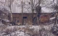 DSC51999-Edit-2-1800-2.jpg