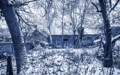 DSC52003-1800-3.jpg