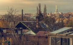 DSC55601-1800-3.jpg