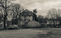 DSC56394-1800-2.jpg