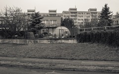 DSC60240-1800-2.jpg