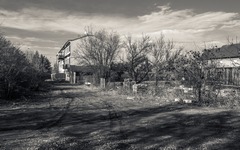 DSC60273-1800-2.jpg