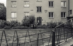 DSC61316-1800-2.jpg