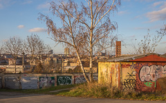 DSC65085-1800-2.jpg
