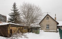 DSC66140-1800.jpg