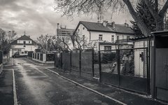 DSC69604-1800-2.jpg