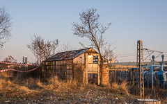 DSC70368-1800.jpg