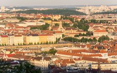 DSC71003-1800.jpg