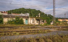 DSC73699-1800.jpg