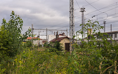DSC73708-1800.jpg