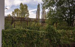 DSC75694-1800.jpg
