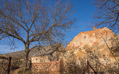 DSC77751-1800.jpg