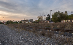 DSC80829-1800.jpg