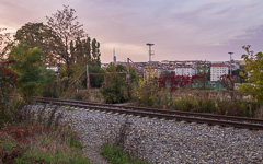 DSC80838-1800.jpg