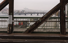 DSC80886-1800.jpg