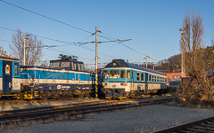 DSC81337-1800.jpg