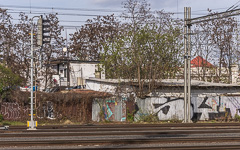 DSC82337-1800.jpg